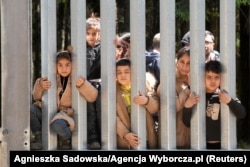 Migrants on the Polish-Belarusian border, near Bialowieza, in May 2023