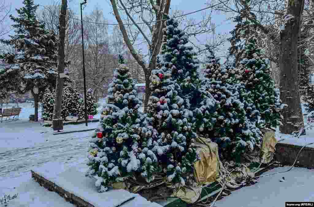 Парковые ели в новогодних украшениях