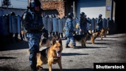 В связи с учениями российская админстрация города призвала жителей Сак «сохранять спокойствие».