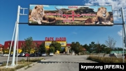 Заезд в парк львов «Тайган», архивное фото 