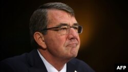 U.S. Secretary of Defense Ash Carter (file photo)